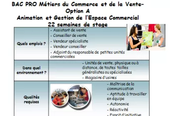 Bac pro commerce 