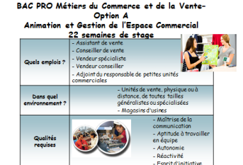 Bac pro commerce 