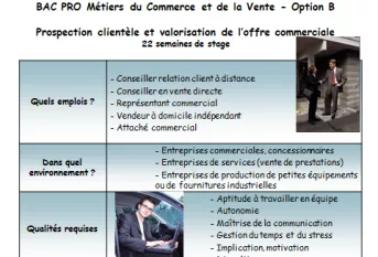 Bac pro commerce 